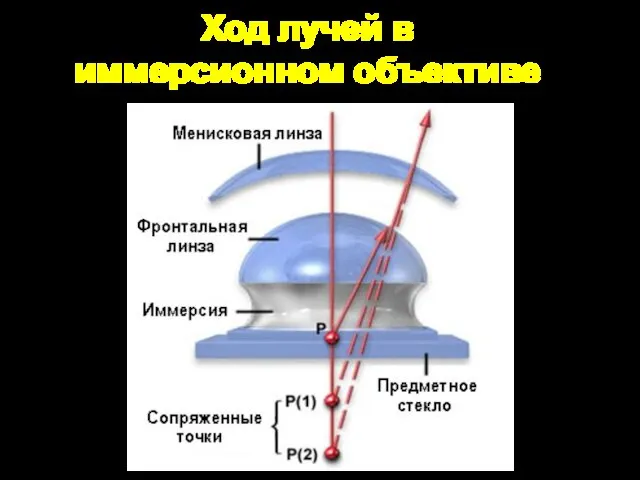 Ход лучей в иммерсионном объективе