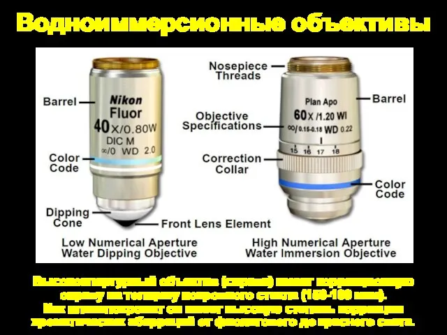 Водноиммерсионные объективы Высокоапертурный объектив (справа) имеет коррекционную оправу на толщину покровного