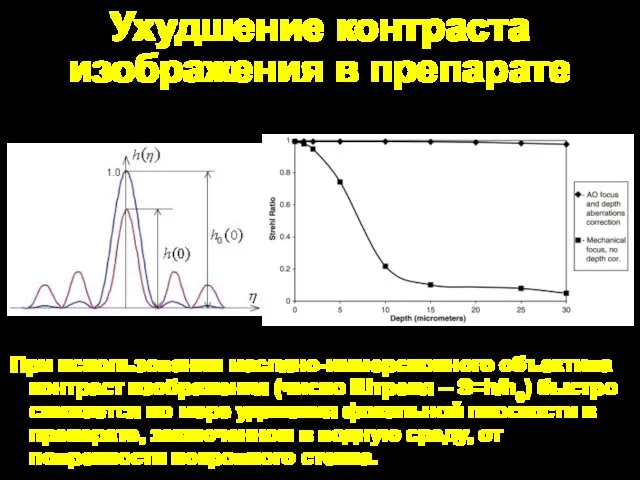 Ухудшение контраста изображения в препарате При использовании масляно-иммерсионного объектива контраст изображения