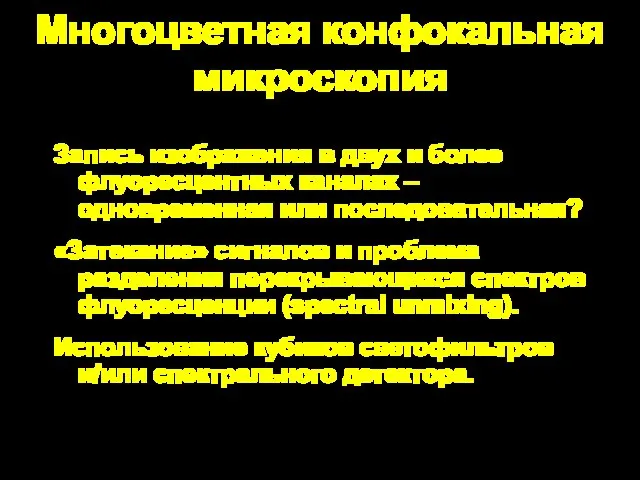 Многоцветная конфокальная микроскопия Запись изображения в двух и более флуоресцентных каналах