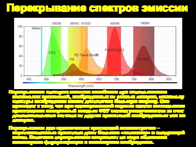 Перекрывание спектров эмиссии Перекрывание спектров эмиссии неизбежно при использовании нескольких красителей,