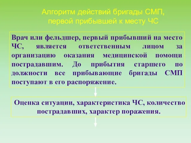 Алгоритм действий бригады СМП, первой прибывшей к месту ЧС Врач или