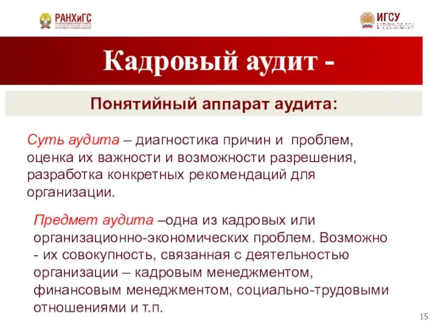 Кадровый аудит - Понятийный аппарат аудита: Суть аудита – диагностика причин