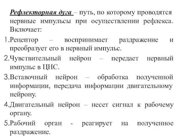 Рефлекторная дуга – путь, по которому проводятся нервные импульсы при осуществлении