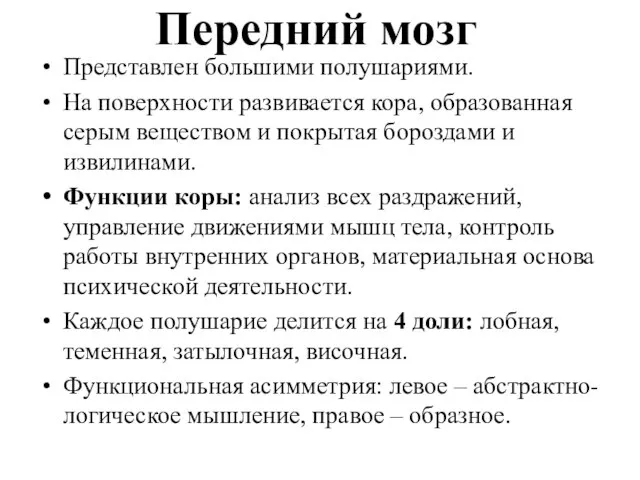 Передний мозг Представлен большими полушариями. На поверхности развивается кора, образованная серым