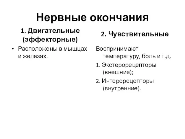 Нервные окончания 1. Двигательные (эффекторные) Расположены в мышцах и железах. 2.