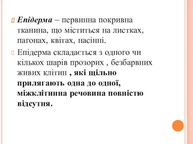 Епідерма – первинна покривна тканина, що міститься на листках, пагонах, квітах,