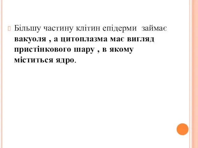 Більшу частину клітин епідерми займає вакуоля , а цитоплазма має вигляд