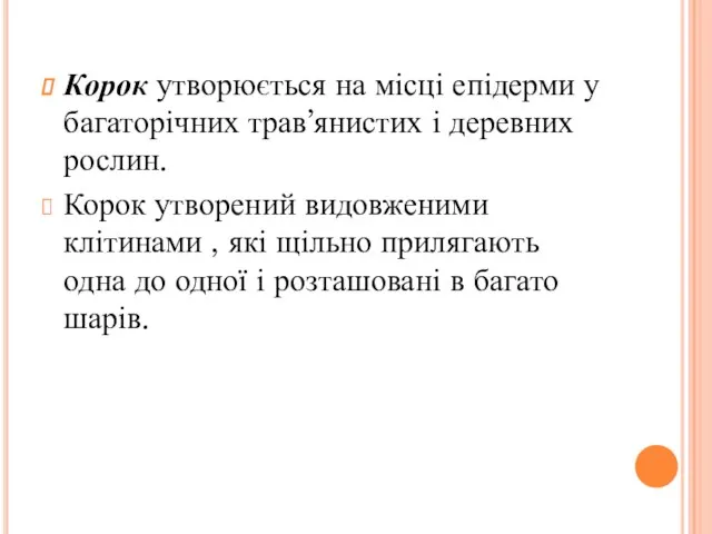 Корок утворюється на місці епідерми у багаторічних трав’янистих і деревних рослин.