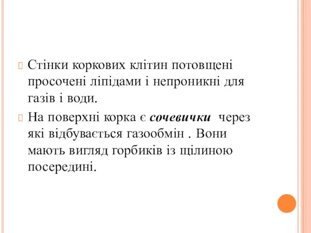 Стінки коркових клітин потовщені просочені ліпідами і непроникні для газів і