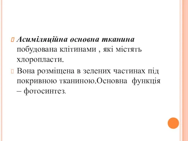 Асиміляційна основна тканина побудована клітинами , які містять хлоропласти. Вона розміщена