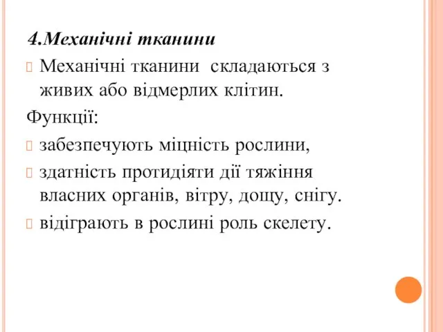 4.Механічні тканини Механічні тканини складаються з живих або відмерлих клітин. Функції: