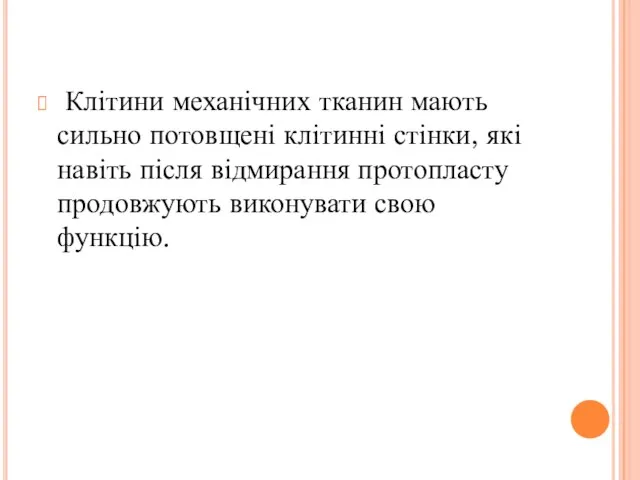 Клітини механічних тканин мають сильно потовщені клітинні стінки, які навіть після