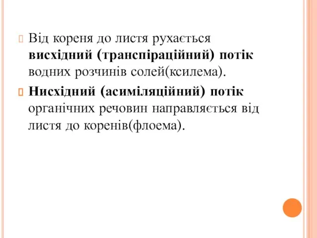 Від кореня до листя рухається висхідний (транспіраційний) потік водних розчинів солей(ксилема).