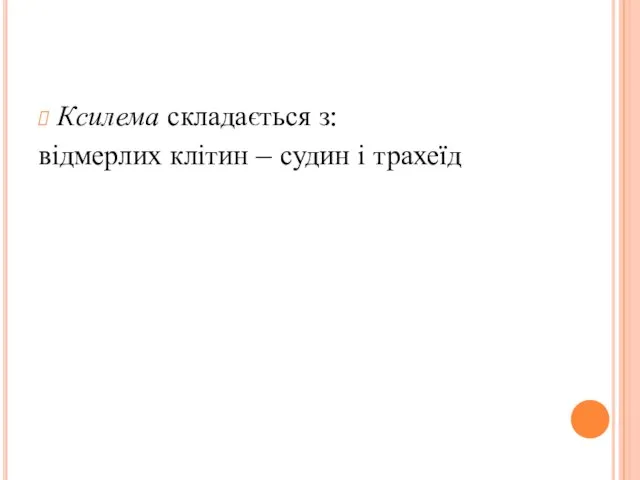 Ксилема складається з: відмерлих клітин – судин і трахеїд