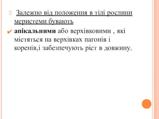 Залежно від положення в тілі рослини меристеми бувають апікальними або верхівковими