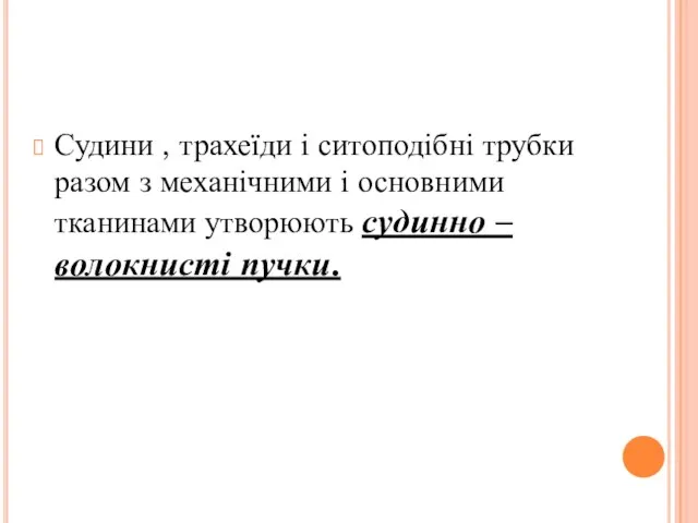 Судини , трахеїди і ситоподібні трубки разом з механічними і основними