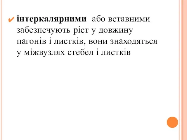 інтеркалярними або вставними забезпечують ріст у довжину пагонів і листків, вони