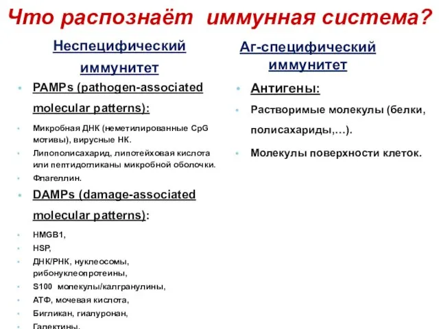 Что распознаёт иммунная система? PAMPs (pathogen-associated molecular patterns): Микробная ДНК (неметилированные