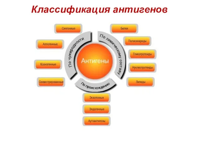 Классификация антигенов