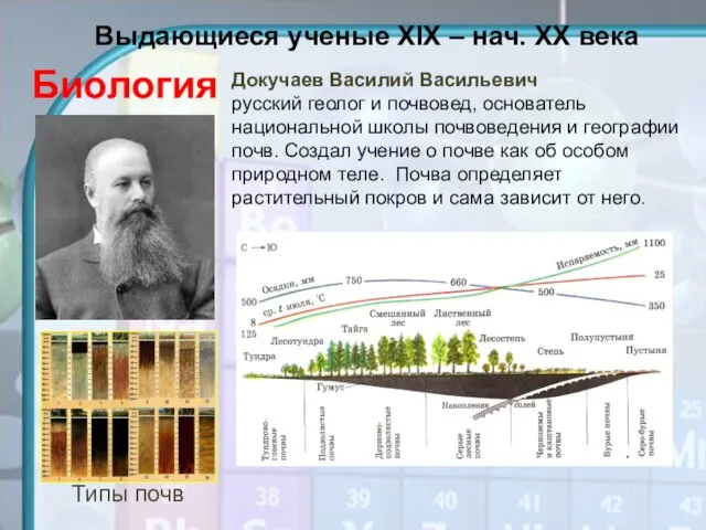 Типы почв Докучаев Василий Васильевич русский геолог и почвовед, основатель национальной