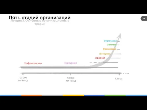 Пять стадий организаций Лекция 3. Основные организационные теории