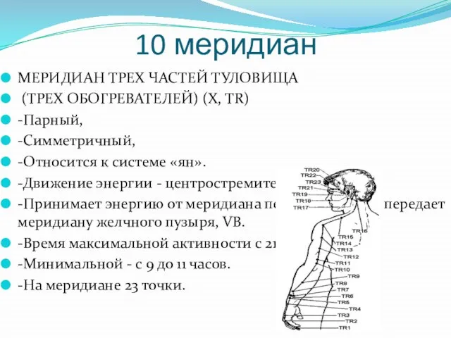 10 меридиан МЕРИДИАН ТРЕХ ЧАСТЕЙ ТУЛОВИЩА (ТРЕХ ОБОГРЕВАТЕЛЕЙ) (X, TR) -Парный,