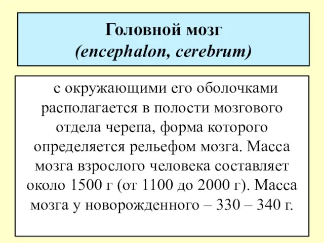 Головной мозг (encephalon, cerebrum) с окружающими его оболочками располагается в полости