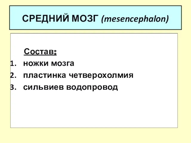 СРЕДНИЙ МОЗГ (mesencephalon) Состав: ножки мозга пластинка четверохолмия сильвиев водопровод