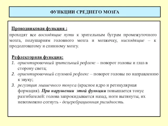 ФУНКЦИИ СРЕДНЕГО МОЗГА Проводниковая функция : проходят все восходящие пути к