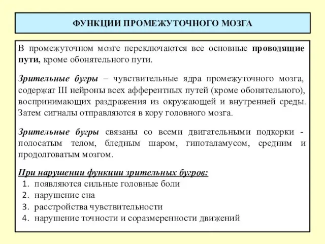 ФУНКЦИИ ПРОМЕЖУТОЧНОГО МОЗГА В промежуточном мозге переключаются все основные проводящие пути,