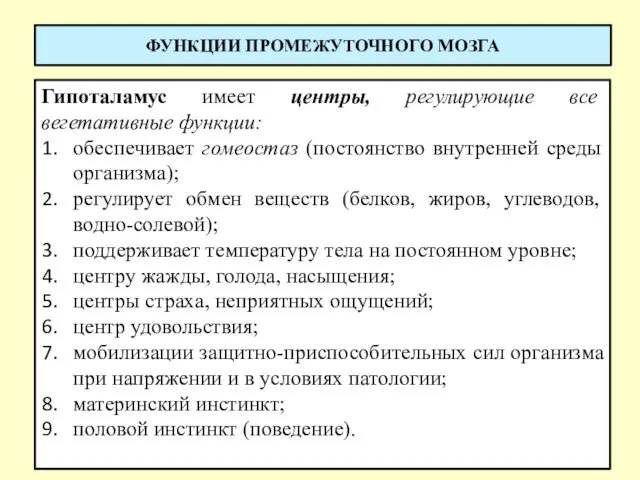 ФУНКЦИИ ПРОМЕЖУТОЧНОГО МОЗГА Гипоталамус имеет центры, регулирующие все вегетативные функции: обеспечивает