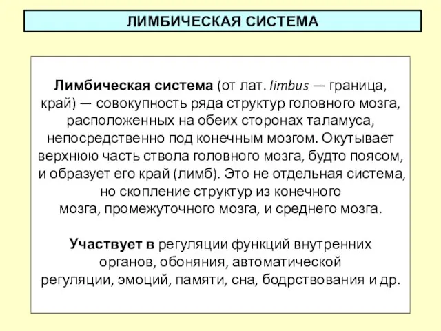 ЛИМБИЧЕСКАЯ СИСТЕМА Лимбическая система (от лат. limbus — граница, край) —