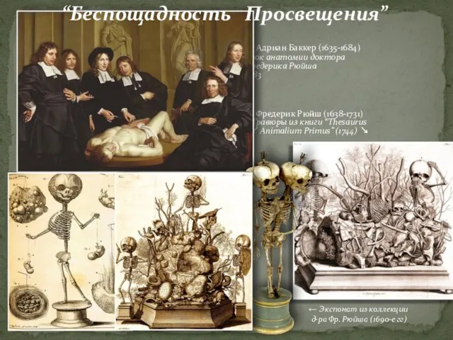 ← Адриан Баккер (1635-1684) Урок анатомии доктора Фредерика Рюйша 1683 Фредерик