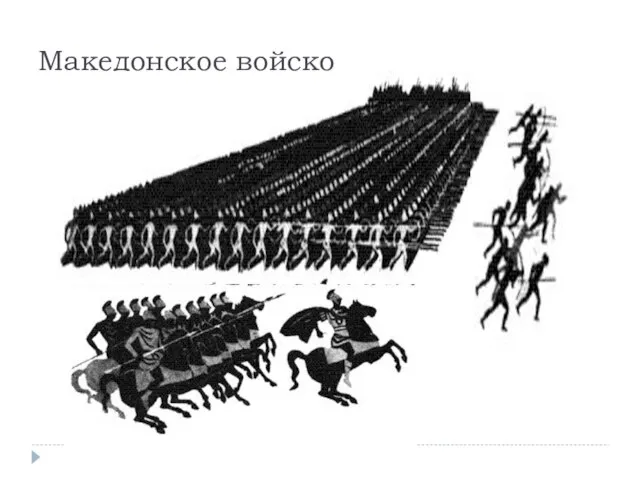 Македонское войско