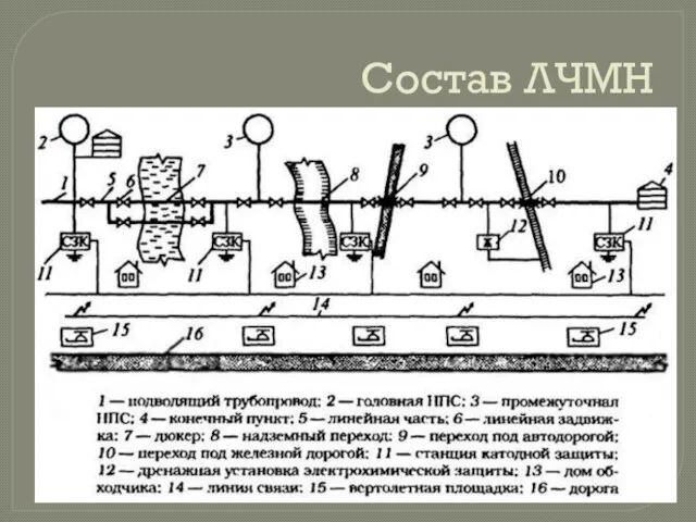 Состав ЛЧМН