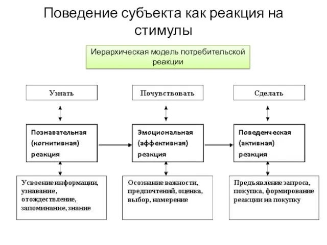 Поведение субъекта как реакция на стимулы Иерархическая модель потребительской реакции