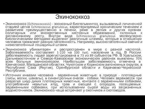 Эхинококкоз Эхинококкоз (Echinococcosis) - зоонозный биогельминтоз, вызываемый личиночной стадией цепня Echinococcus