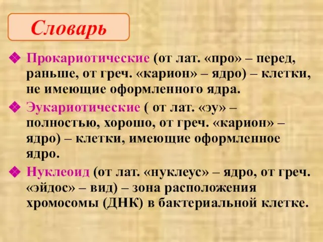 Прокариотические (от лат. «про» – перед, раньше, от греч. «карион» –