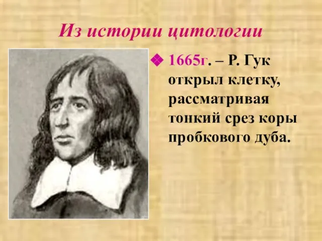 Из истории цитологии 1665г. – Р. Гук открыл клетку, рассматривая тонкий срез коры пробкового дуба.