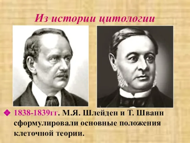 Из истории цитологии 1838-1839гг. М.Я. Шлейден и Т. Шванн сформулировали основные положения клеточной теории.