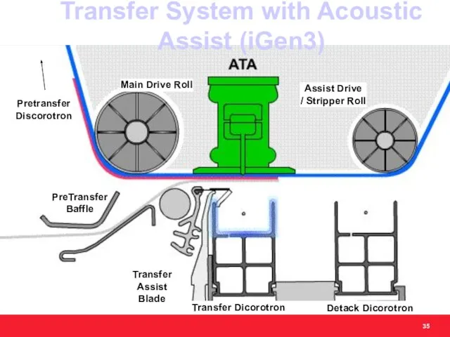 Transfer Assist Blade PreTransfer Baffle Detack Dicorotron Transfer Dicorotron Main Drive