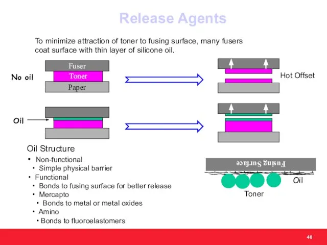 Oil Structure Non-functional Simple physical barrier Functional Bonds to fusing surface