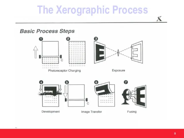 The Xerographic Process