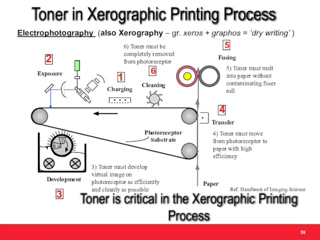 Toner in Xerographic Printing Process Electrophotography (also Xerography – gr. xeros