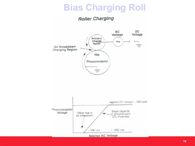 Bias Charging Roll