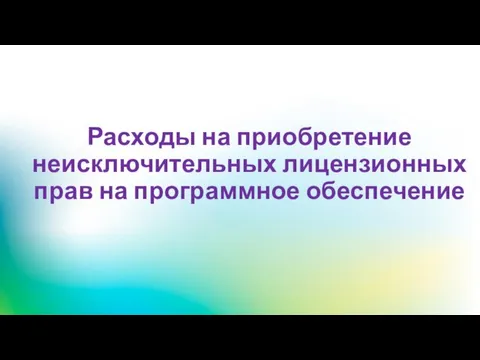 Расходы на приобретение неисключительных лицензионных прав на программное обеспечение