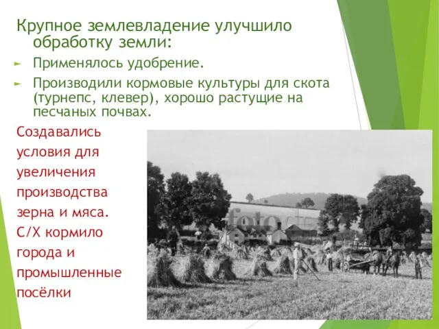 Крупное землевладение улучшило обработку земли: Применялось удобрение. Производили кормовые культуры для