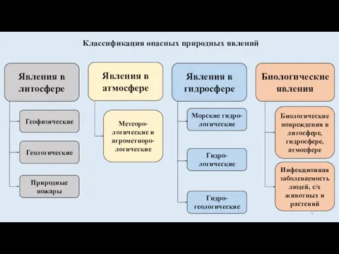 Явления в литосфере Явления в атмосфере Явления в гидросфере Биологические явления