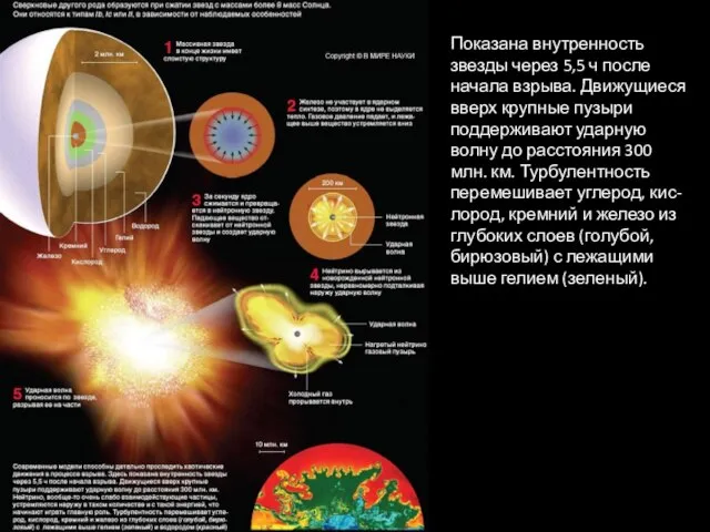 Показана внутренность звезды через 5,5 ч после начала взрыва. Движущиеся вверх